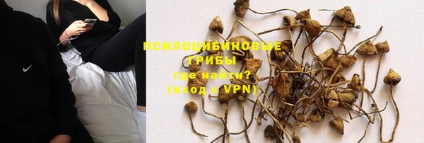 твердый Краснотурьинск