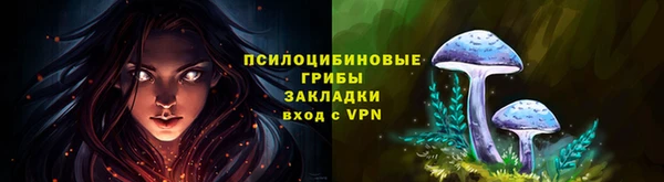 spice Краснослободск