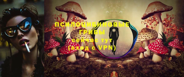 твердый Краснотурьинск
