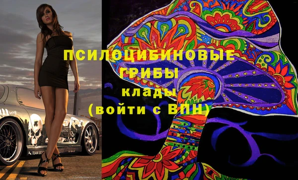 гидра Красноперекопск