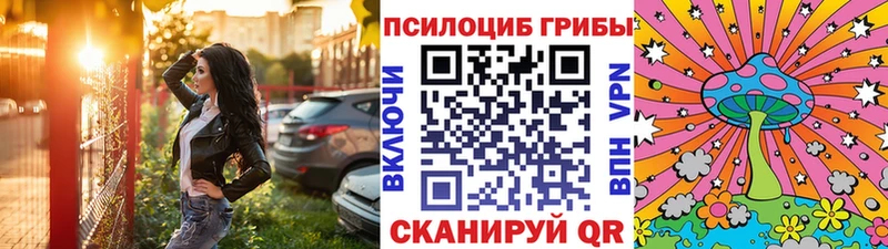 Псилоцибиновые грибы Cubensis  закладка  Цимлянск 